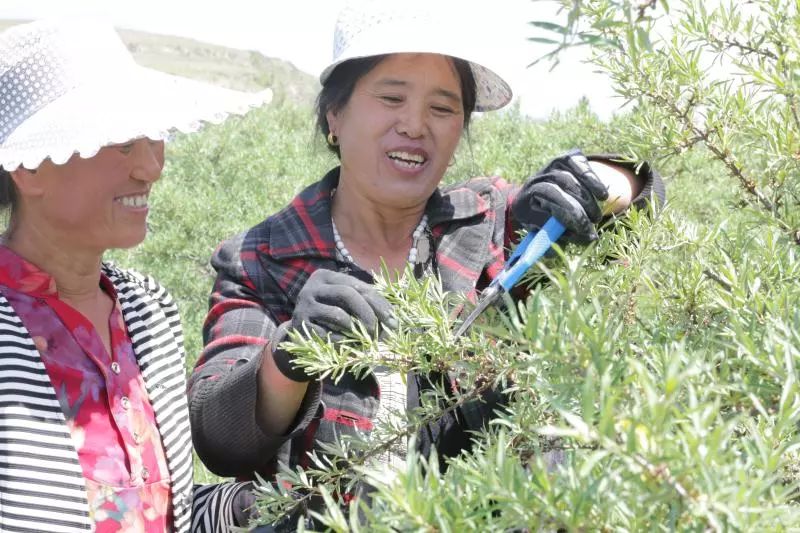 岚县各村人口_岚县阴湾村能透的女人(3)