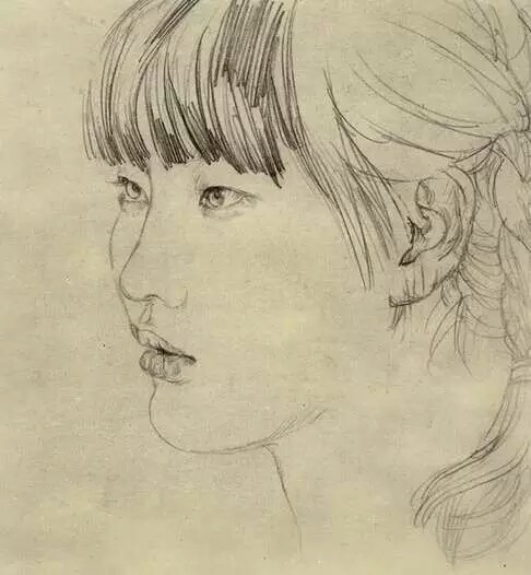 何家英女性人物线描速写