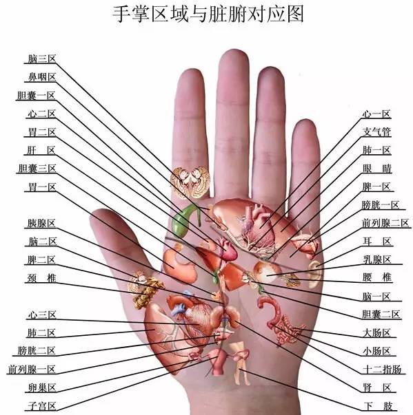 【健康】心脏不好的人,手掌有一个穴位经常按一按!