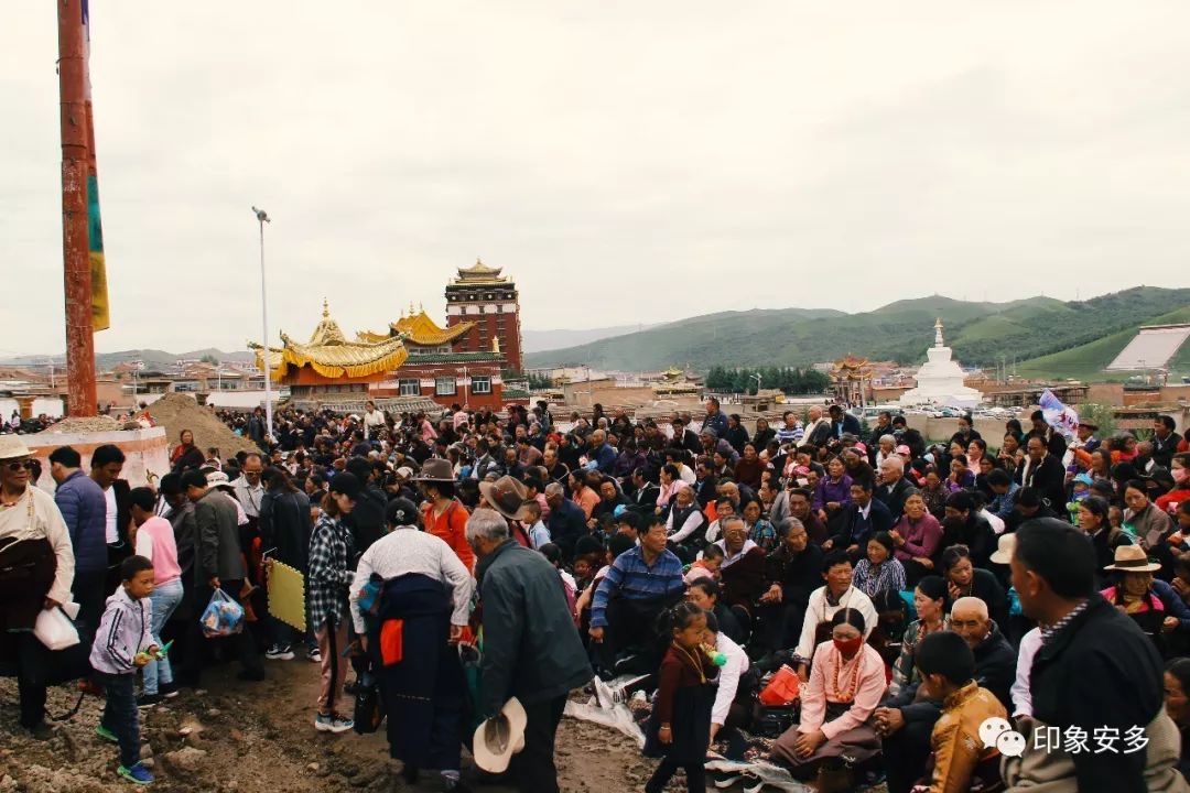 甘南藏族自治州合作市合作噶丹法轮洲寺由大恩金刚上师—至尊赛仓
