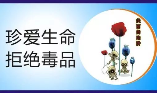 南昌公安局集中销毁毒品500多公斤!更可怕的