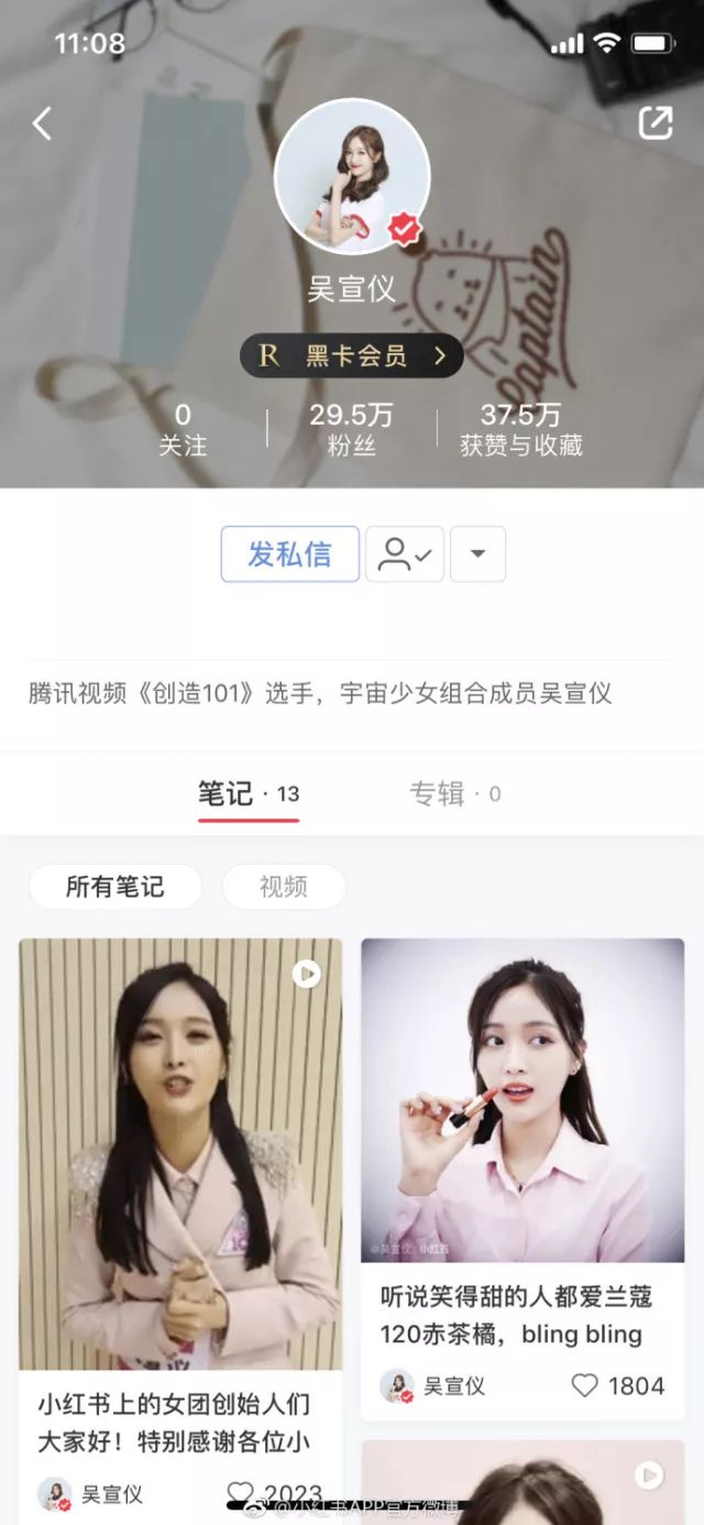 《创造101》大结局,全程发挥最稳定的其实只有小红书