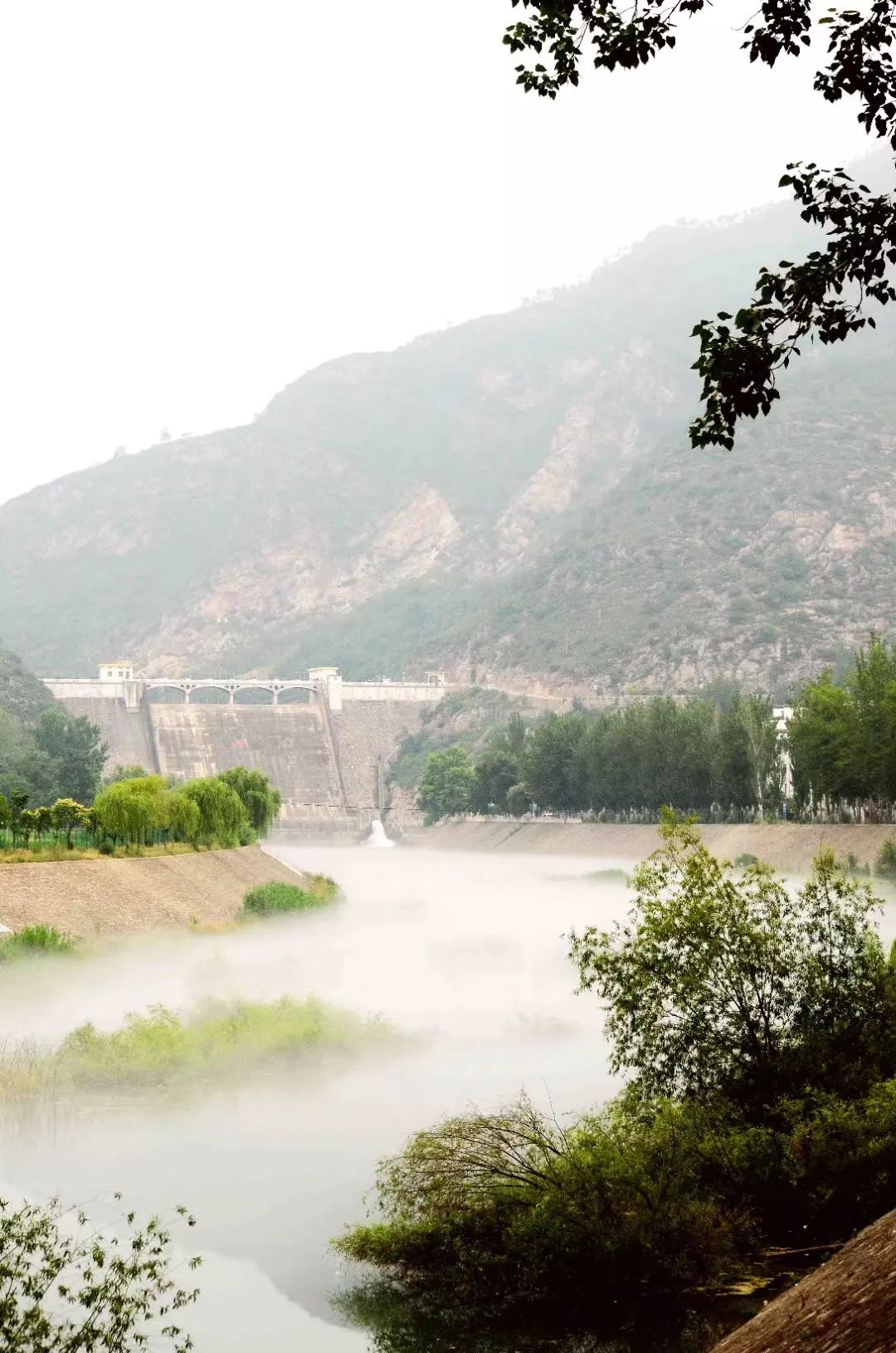 今早商洛二龙山坝下河道 出现的仙境般的自然景象