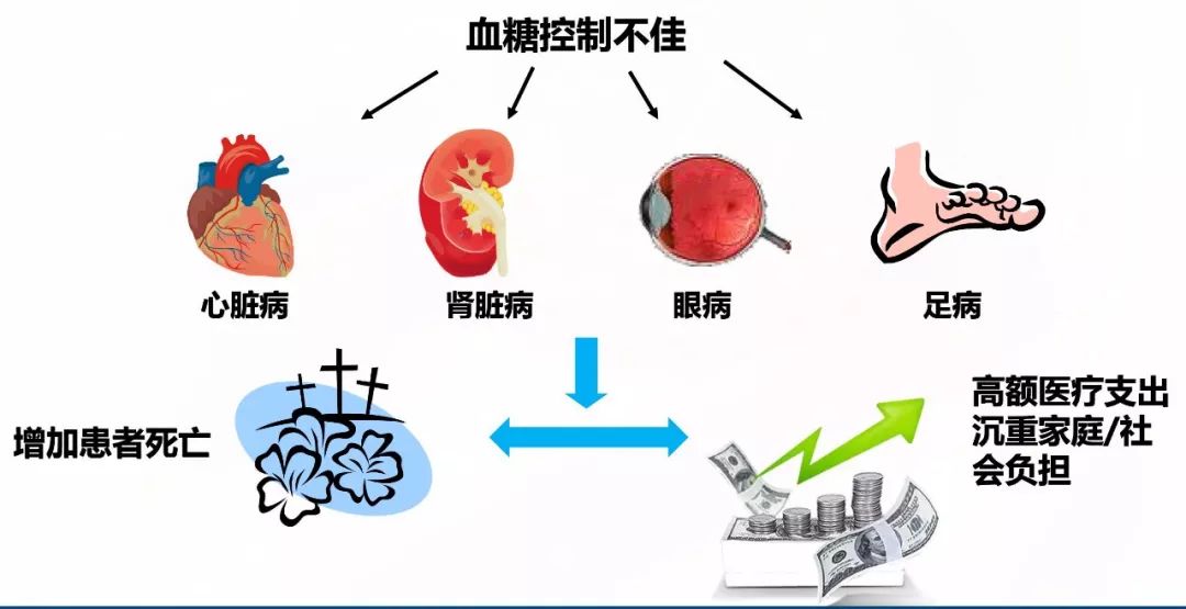 多种严重并发症3子代代谢异常,肥胖;孕中晚期可致胎儿高胰岛素血症