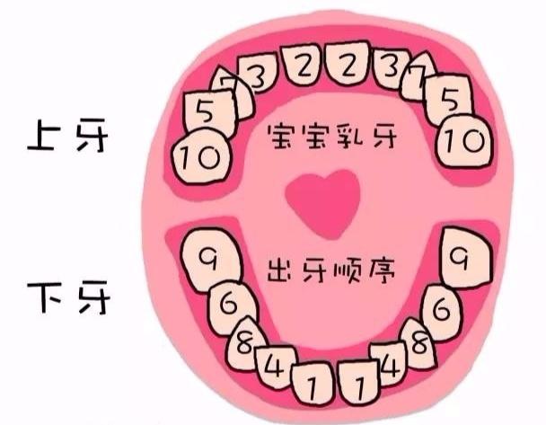 今天优嫂就来跟各位家长普及下宝宝出牙的顺序以及护理方法~等等这些