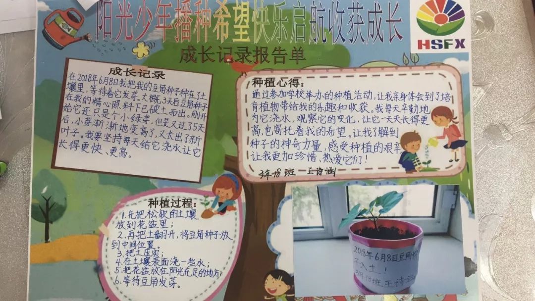 附小校区阳光少年播种希望快乐启航收获成长师范附小远程种植活动