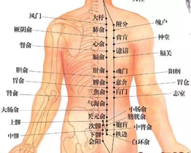 拔罐作用的原理是什么_拔火罐时,拔出的水泡到底是什么?