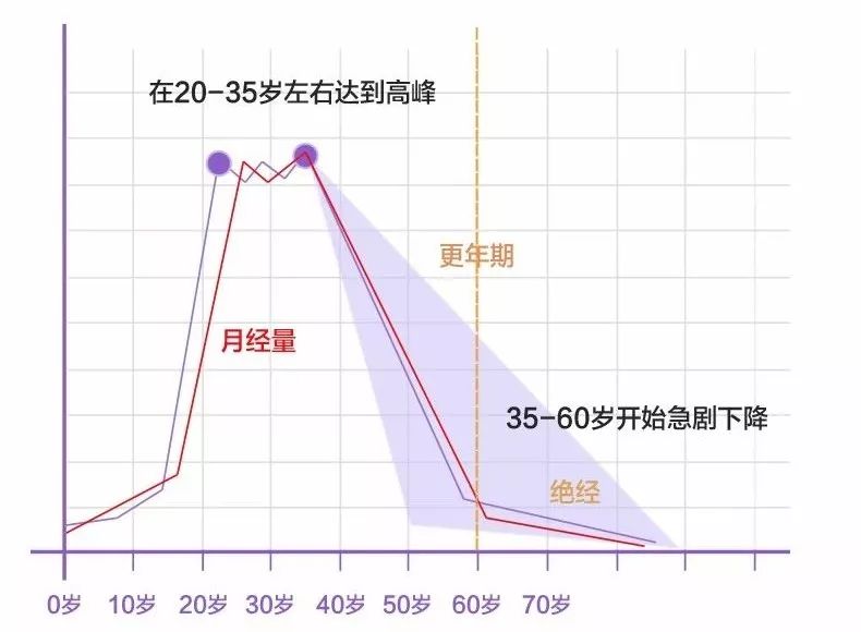 女性来月经的原理_月经停止   怀孕前的第一信号就是\