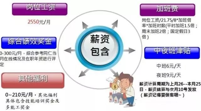 上海昌硕人口_人口普查(3)