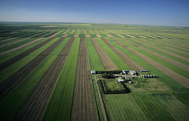 因地制宜的"地区专门化"生产,成就美国成为世界农业第一强国