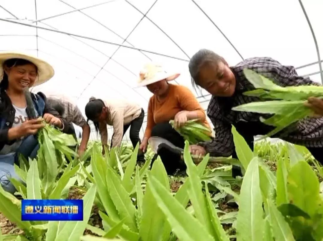 贵州苦干实干全力打好脱贫攻坚硬仗