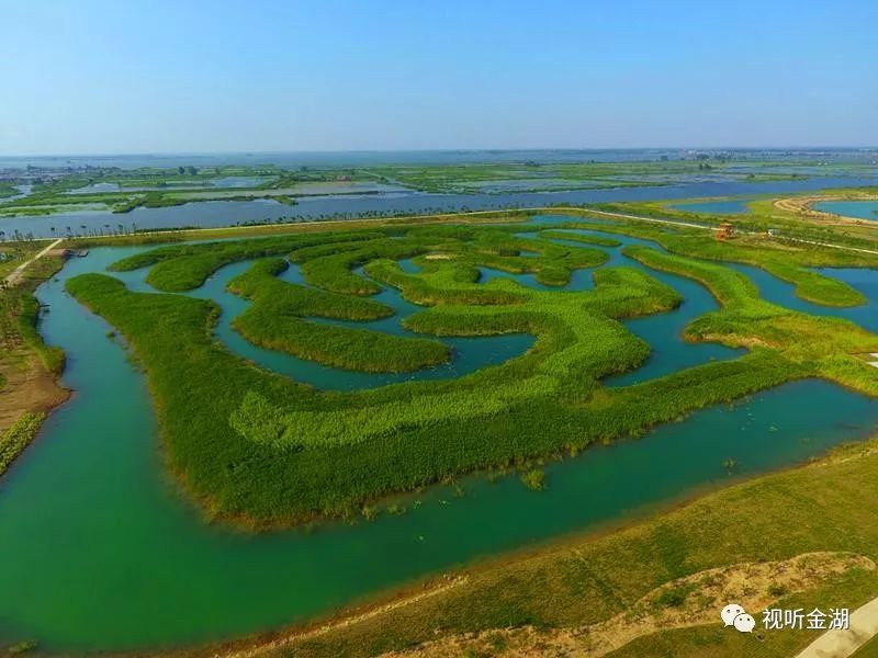 白马湖湿地公园美的让人窒息