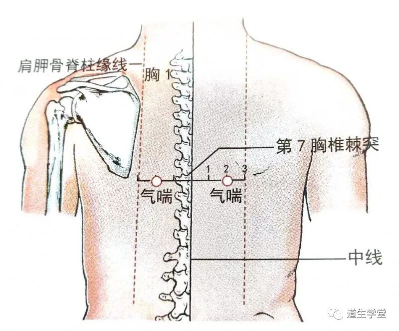 【引证 】《中国针灸学》云:"第七胸椎旁开2寸.灸7壮.主治哮喘."