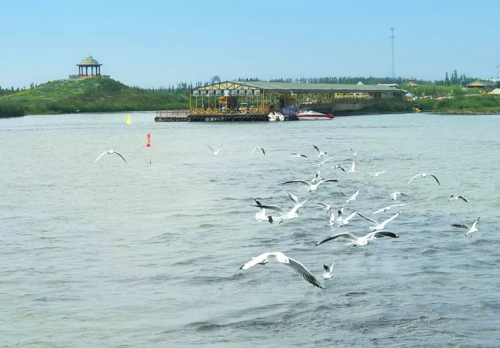 最美河流旅游读本穿城而过孔雀河孕育库尔勒生命的后花园