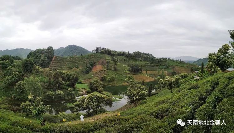 位于油坊店乡面冲村江湾,老庄,新庄,南里,牌坊,南冲,陆岗七个村民组