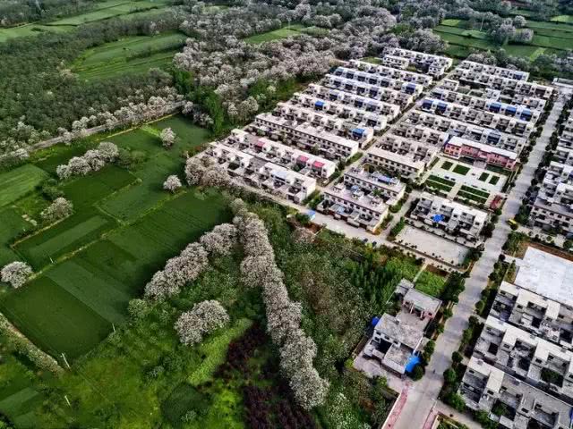 禹州市致力改善农村人居环境,使乡村——看得见美丽 记得住乡愁