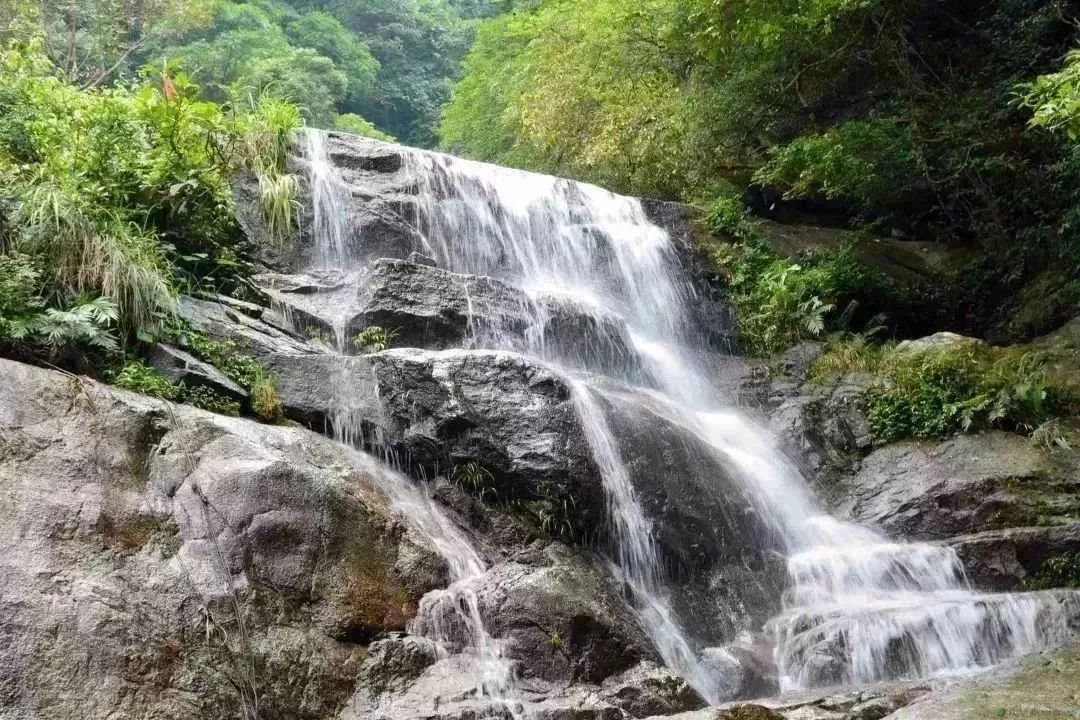 高考放榜,学子们有福啦!罗浮山景区给你们送福利啦