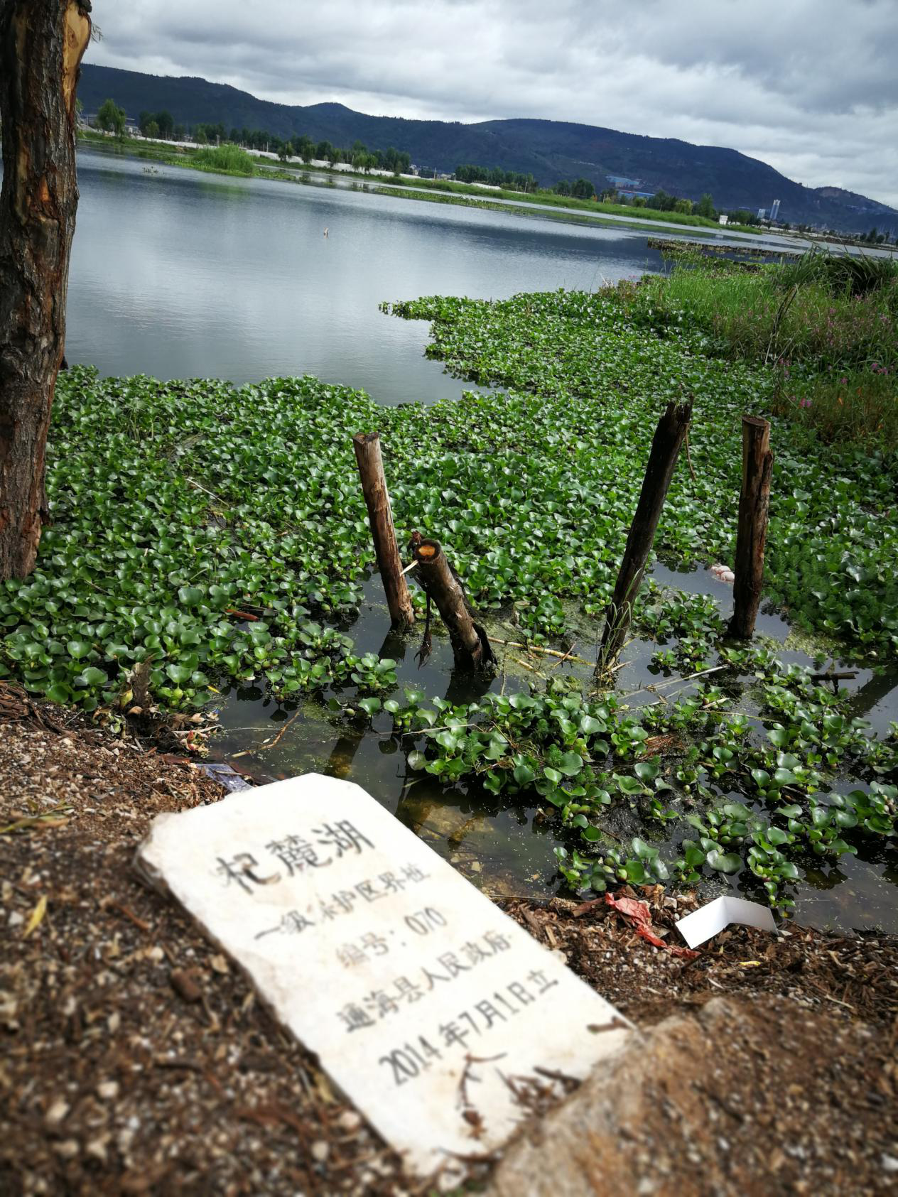 杞麓湖环湖截污治污工程效果不理想随后,督察人员来到通海县三义造纸