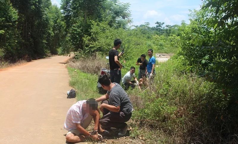 广西横县有多少人口_明天,又有上万人涌向横县伏波庙