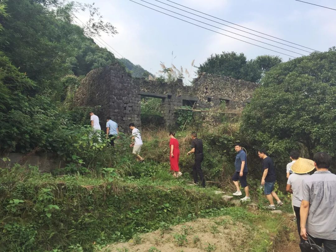 泽雅大坪头村,山山有美景,处处是奇石!