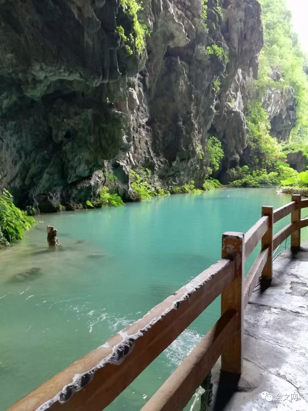 巴马的畅想--戊戌年仲夏广西巴马长寿村行漫笔