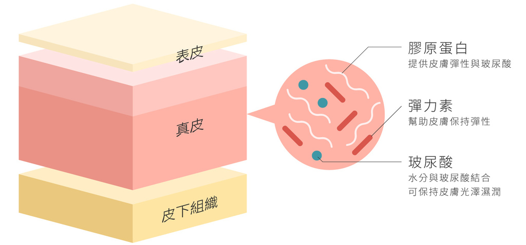 me胶原蛋白肽补充?你应该知道的4件事!