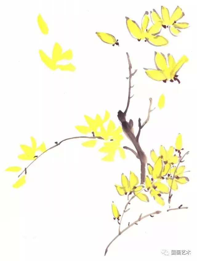 画迎春花可先勾出枝干,羊毫笔调较浓的藤黄点出花瓣,半干时用狼毫调