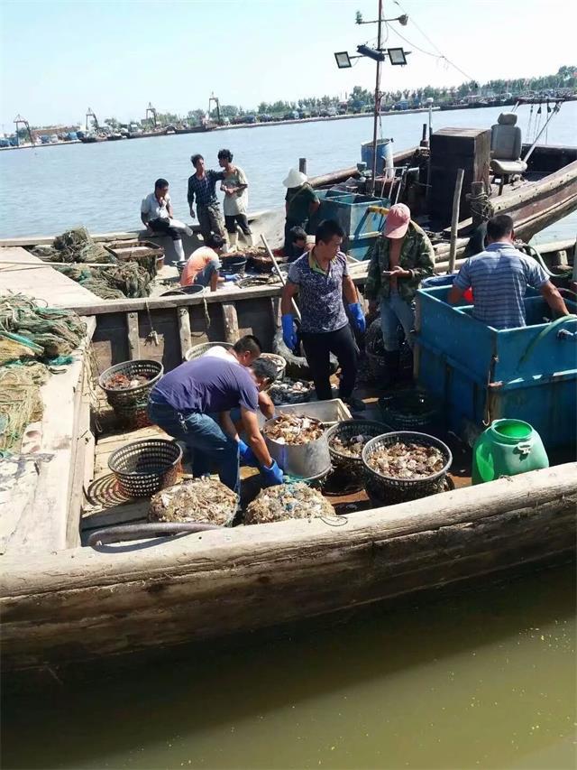 秦皇岛黄金海岸牧海农家院"海边的沙子如奶油般细腻"