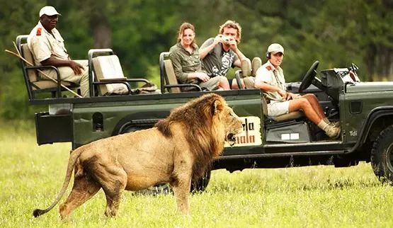 南非马拉马拉野生动物保护区