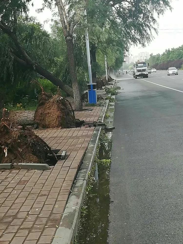 暴雨,雷电,大风极端天气接力考验章丘.今天还迎来一波"章丘蓝"