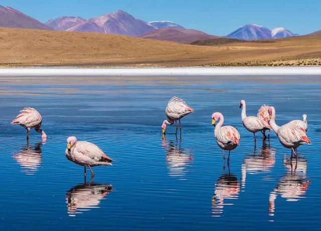 Peru Must See Attractions: Uncover the Jewels of South America