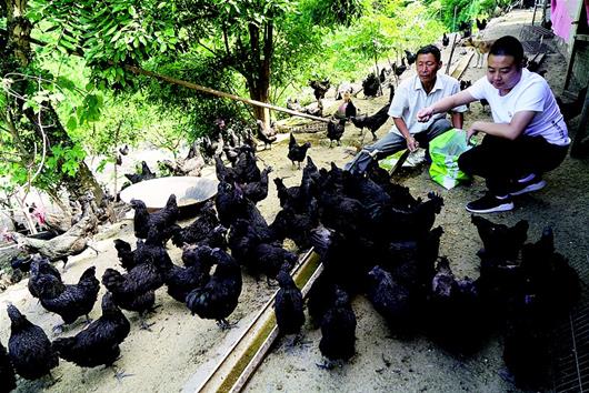 宜昌远安县各乡镇人口排名_远安县茅坪场镇(3)