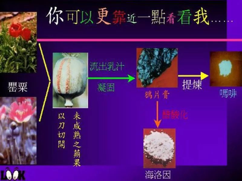 现在的毒品长什么样?信丰禁毒教育基地,赶紧带孩子去