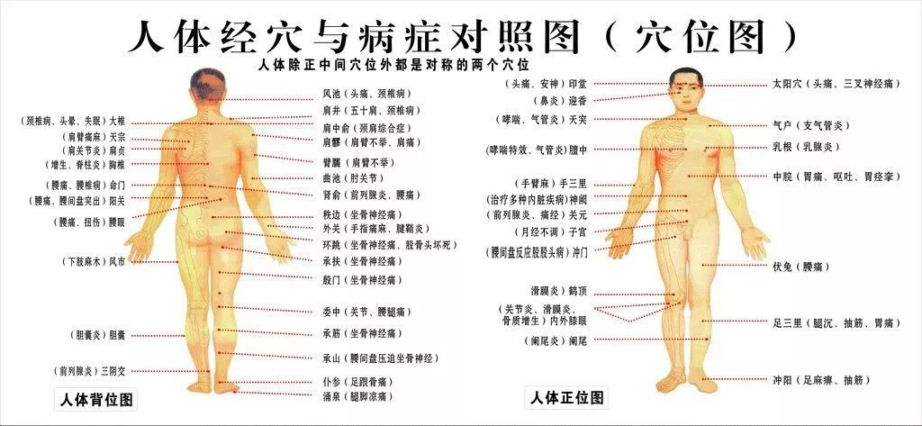 【康复】《话艾灸》(一)宫寒篇