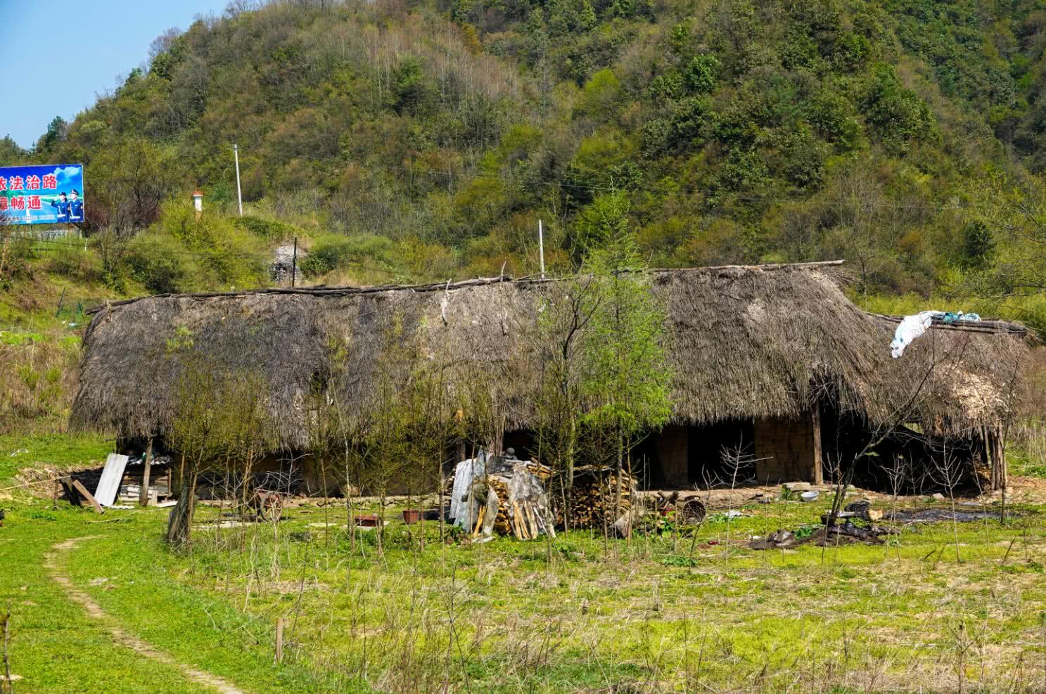 陕西南部地区"江南范"十足,大山之中,现在还有人住草屋