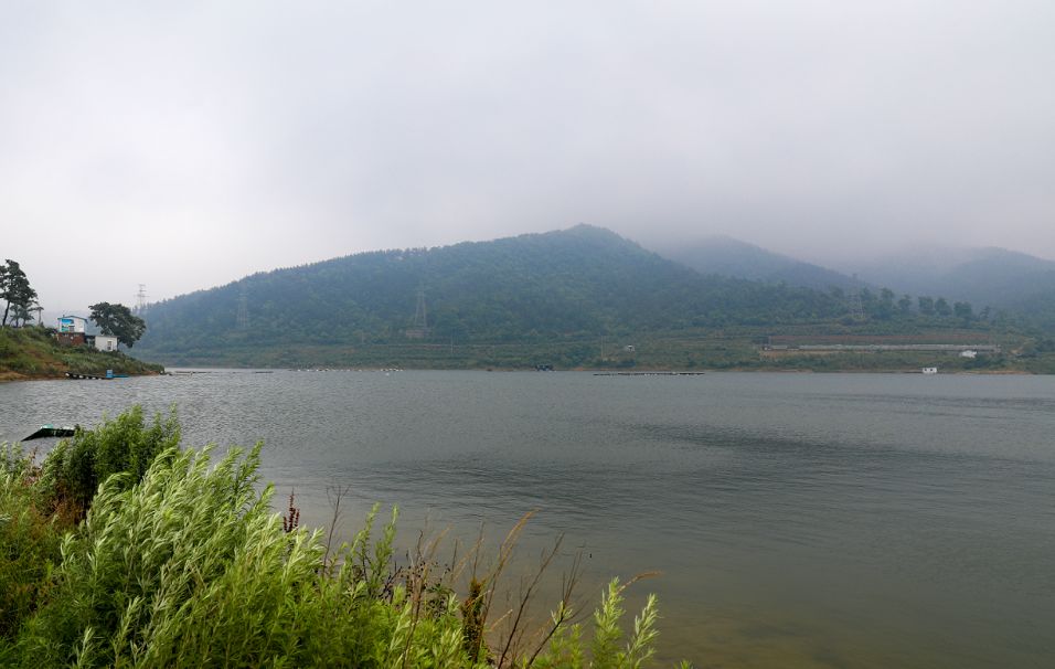 好雨随人愿甘霖润物泽