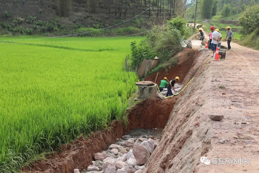 藤县投入5亿元进行农村公路网拓宽改造!