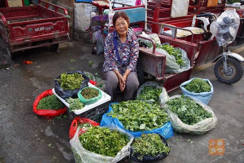 当卖菜小贩醒的时候,菜市场也就醒了.