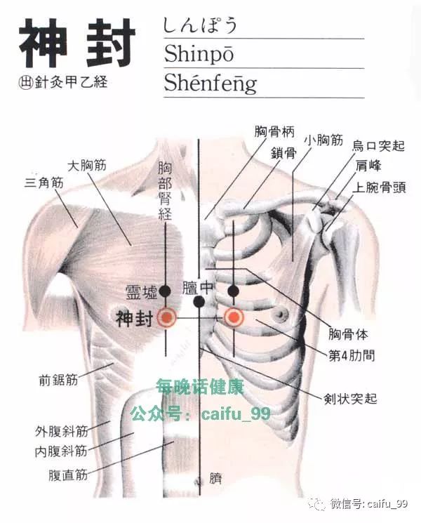 【每日一穴】神封穴: 气喘,胸胁支满,呕吐,不嗜食