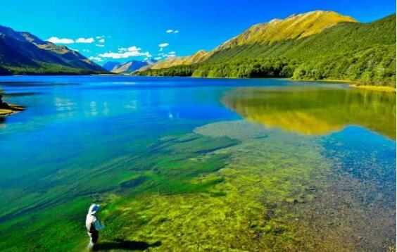 世界上最清澈的湖新西兰尼尔森蓝湖