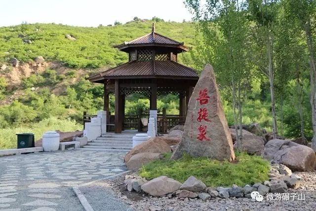 菩提泉依托天然山泉水修建,泉水清冽,入口甘甜,复古摇橹,特色凉亭,更