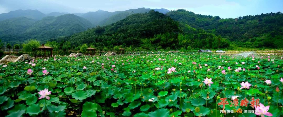 尤其是近年来,漳州认真践行"绿水青山就是金山银山"