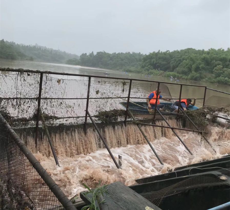 四川暴雨致万亩鱼塘受灾,如何守好鱼塘?