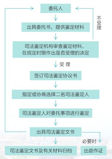 让证据自己说话看贾环如何做司法鉴定