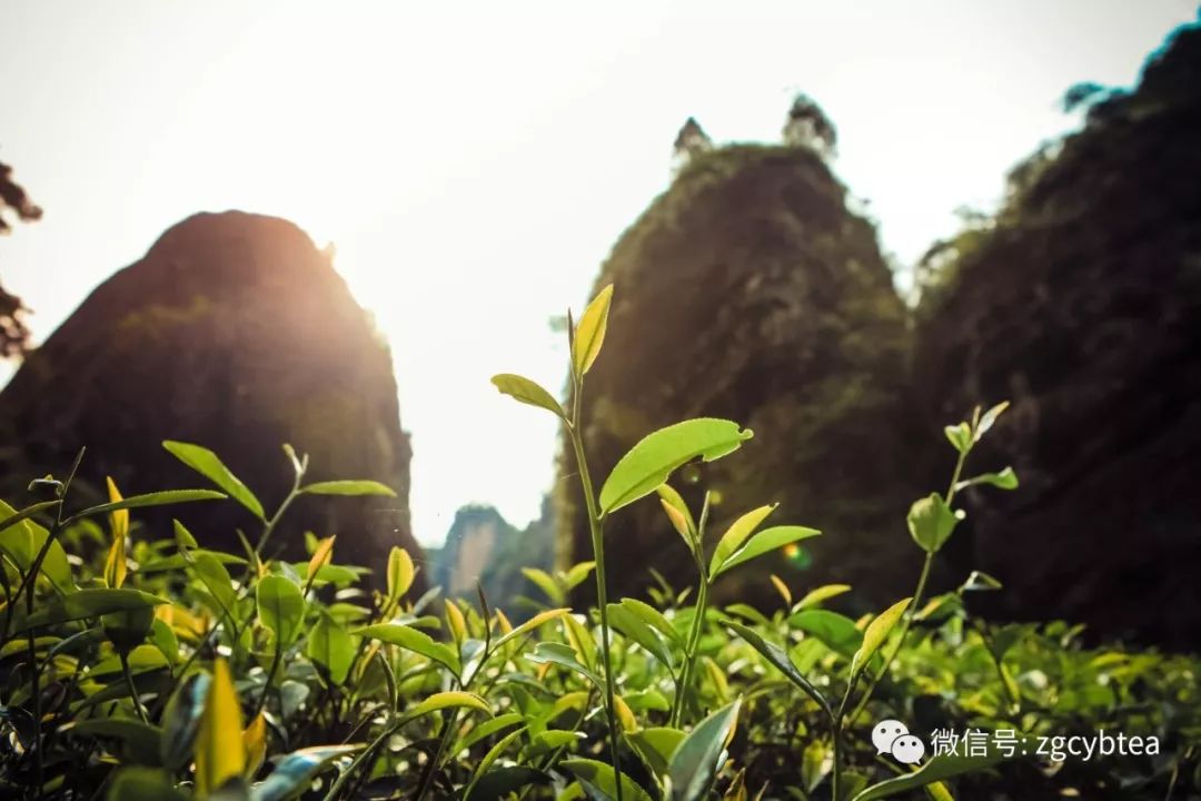 什么逾古稀成语_成语故事图片