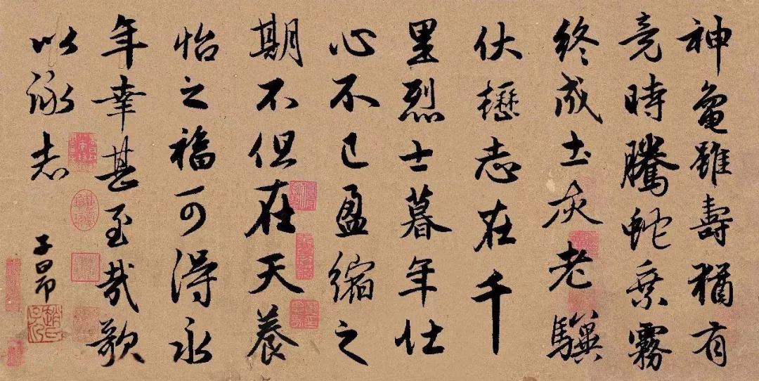 高清字帖|赵孟頫行书《龟虽寿》