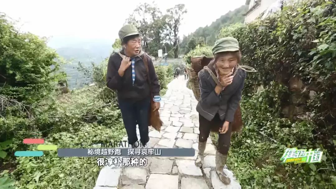 节目预告 |秘境越野跑 探寻哀牢山