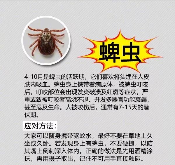 夏季毒虫叮咬高发,严重可致人死亡!赶紧扩散这份防虫手册