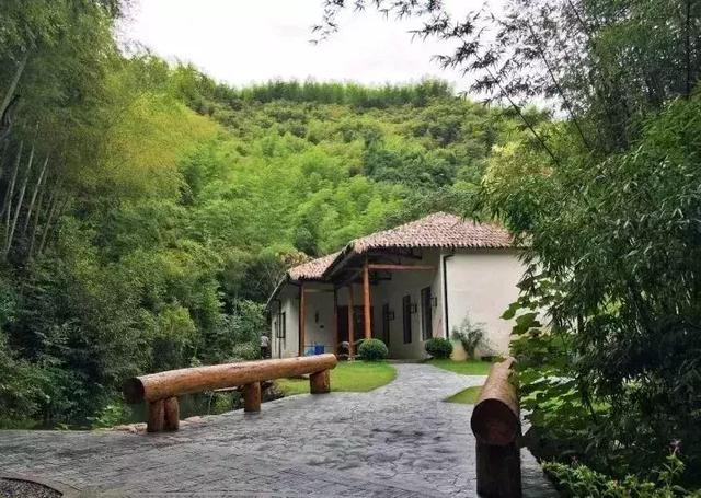 来安吉茅草屋听雨声,享受这家民宿里天然竹林山野生活