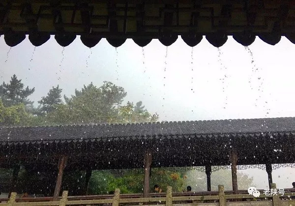 雨声飘落,落在屋檐,落在窗台,落满眼眸,落进清冷的风空中